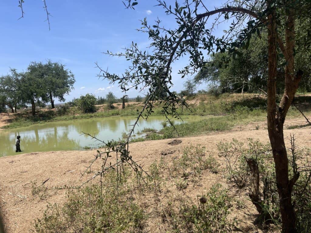 Kind an einer Wasserstelle in einer trockenen Landschaft