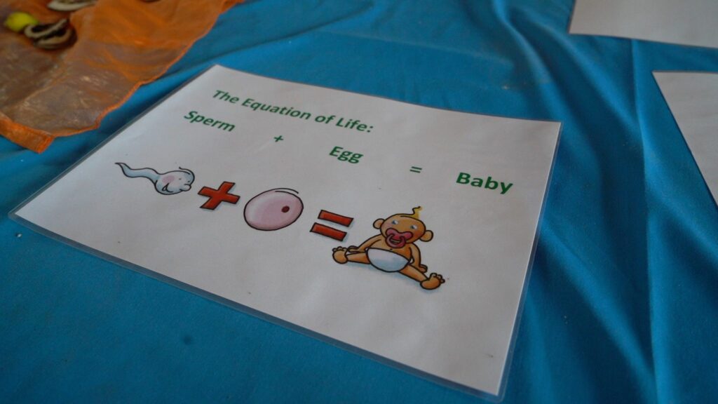 Diagramm, das Sperma + Eizelle = Baby zeigt; Die Gleichung des Lebens