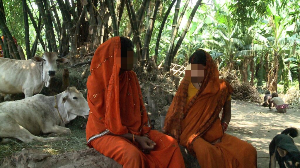 Zwei Frauen in orangefarbenen Saris sitzen neben ruhenden Kühen unter Bambusbäumen.