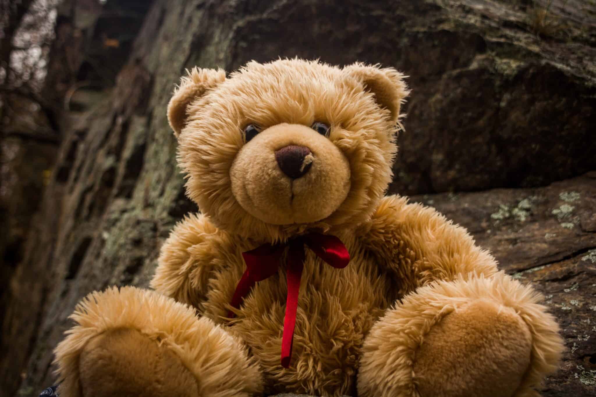 Ein flauschiger, hellbrauner Teddybär mit einer roten Schleife um den Hals sitzt im Freien vor einem felsigen Hintergrund.